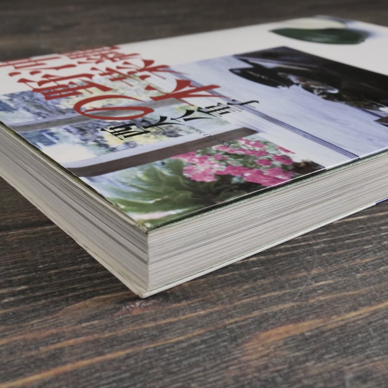 沖縄野菜の本 西大八重子 | 古書店うみつばめ