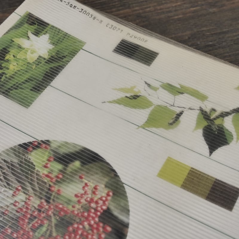 草木染 染料植物図鑑 山崎青樹 著 | 古書店うみつばめ