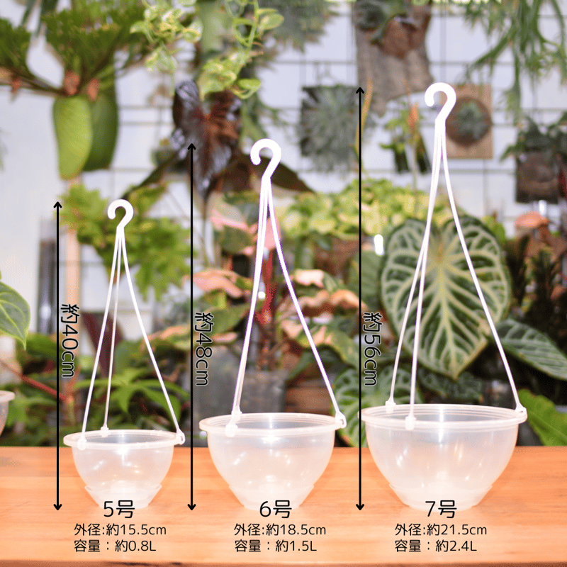 透明鉢《 NEgamieru 》 AIR Max 7号 1鉢 | 花森家-1号店-