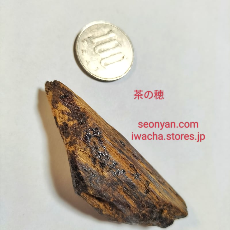 カリマンタン古渡沈香 | 武夷岩茶 茶の穂