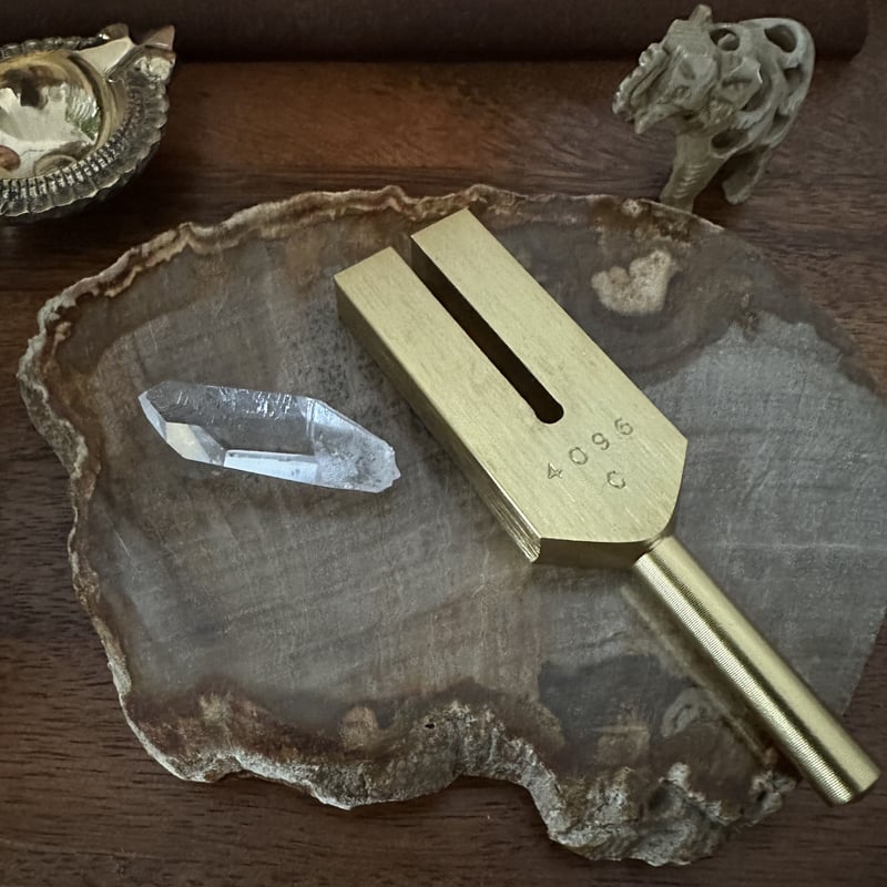 BIOSONICS社製ゴールデンレムリアンチューナーセット | Native Stellar