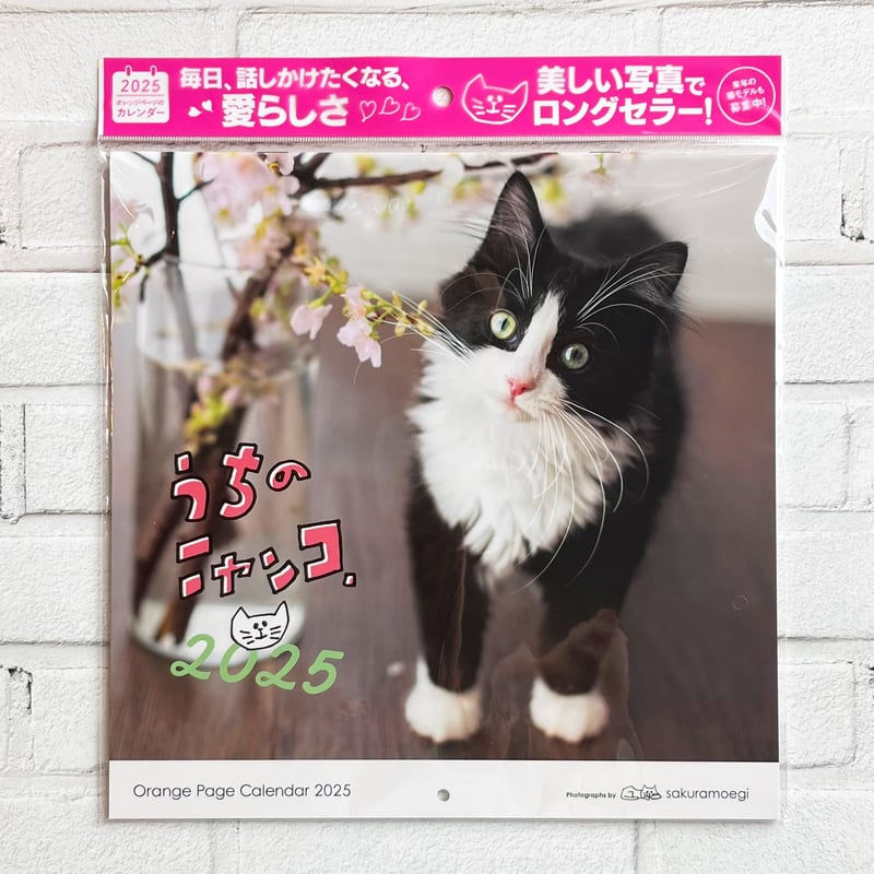 うちのニャンコ。壁掛カレンダー2025 | necoya books web store