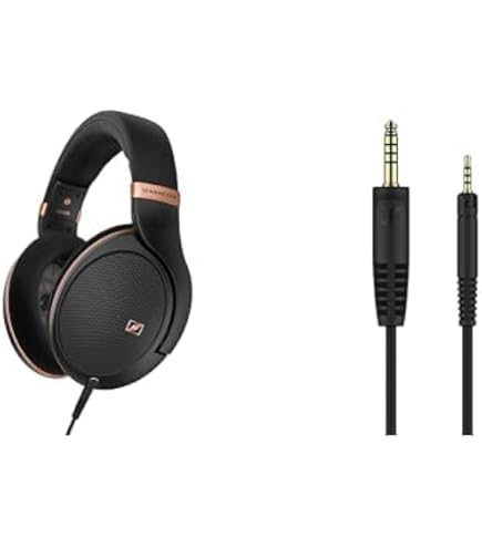 Amazon.co.jp: Sennheiser HD800S ヘッドホン バランスケーブル付(4.4