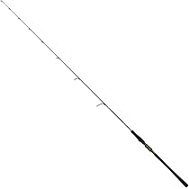 Amazon | ダイワ(DAIWA) ライトジギングロッド SALTIGA(ソルティガ) LJ