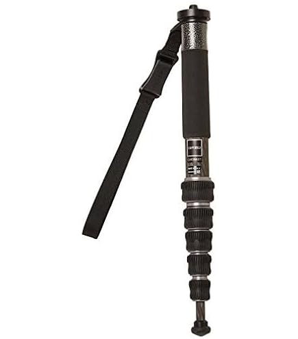 Amazon.co.jp: ジッツオ(GITZO) 一脚 カーボン 4型 5段 ロング Carbon
