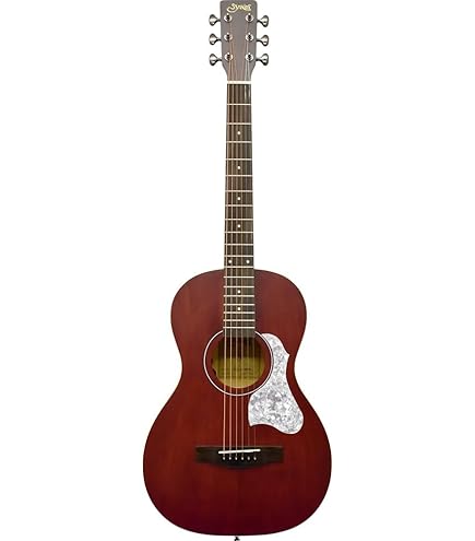 Amazon | Epiphone Starling アコースティックギタープレーヤーパック