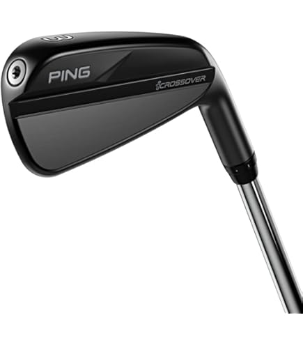 Amazon.co.jp: ピン（PING） アイアンセット5本 g710 (6I～9I、PW