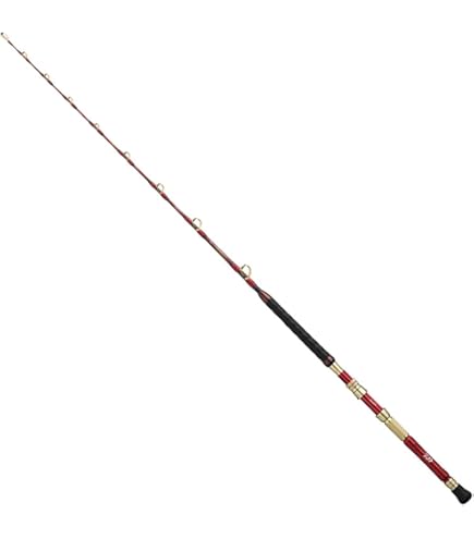 Amazon | ダイワ(DAIWA) 船竿 マッドバイパー 深海 HH-200 釣り竿