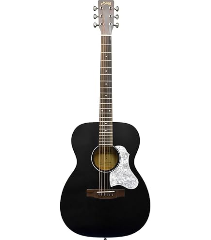 Amazon | S.Yairi ヤイリ Histric Series アコースティックギター YO