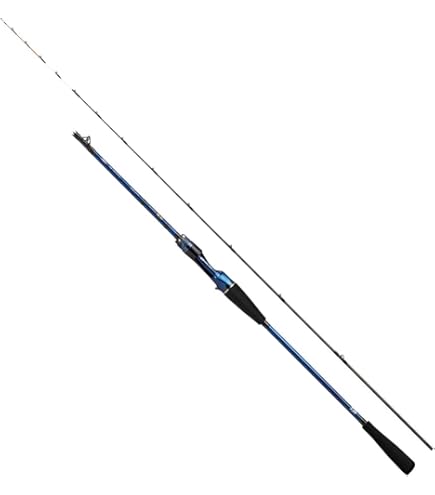 Amazon | ダイワ(DAIWA) 船竿 メタリア アマダイ 205 釣り竿 | ダイワ