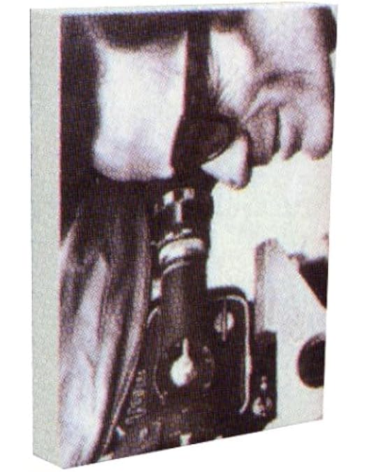 Amazon.co.jp: 鬼才ピエル・パオロ・パゾリーニ 3枚セットDVD ~生誕90