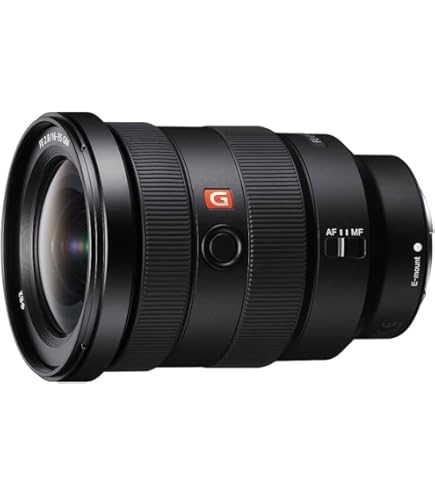 Amazon.co.jp: ソニー Vario-Tessar T* FE 16-35mm F4 ZA OSS