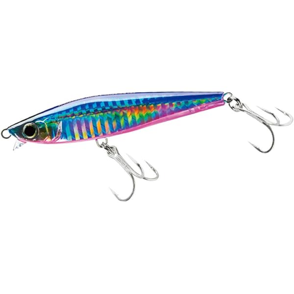 三浦・湘南・真鶴パーフェクト地磯ガイド (BIG1 161) | 海悠出版 |本