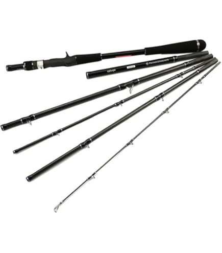 Amazon | トランスセンデンス シーバスロッド カレンテス82|98S+ 2024