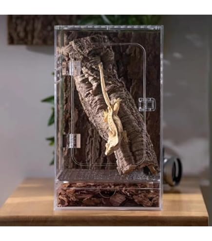 Amazon | GEX EXOTERRA グラステラリウム ナノキューブ PT2599