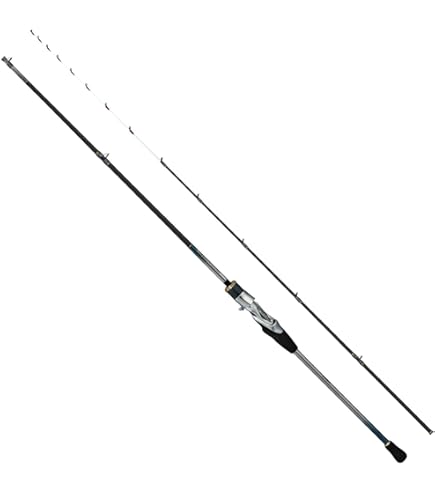 Amazon | ダイワ(DAIWA) 船竿 極鋭カワハギRT BOTTOM-2 | ダイワ(DAIWA