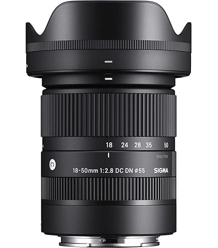Amazon | SIGMA 標準ズームレンズ 17-50mm F2.8 EX DC HSM ソニー用