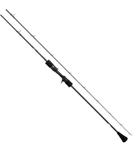 Amazon | ダイワ(DAIWA) スロージギングロッドロッド SALTIGA SJ 61B-1