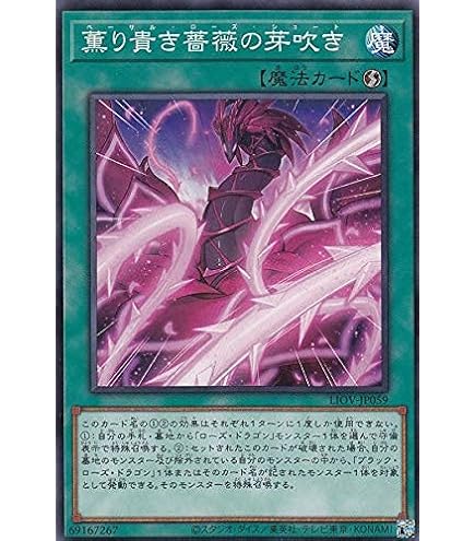 Amazon.co.jp: 遊戯王 CSOC-JP039-HG 《ブラック・ローズ・ドラゴン