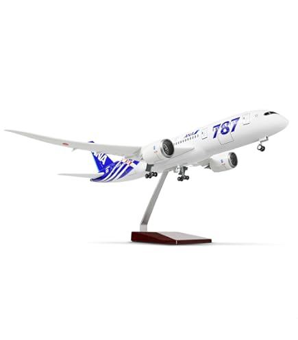 Amazon | QIYUMOKE ANA 1/160 787 大型模型飛行機 完成品 スタンド付き