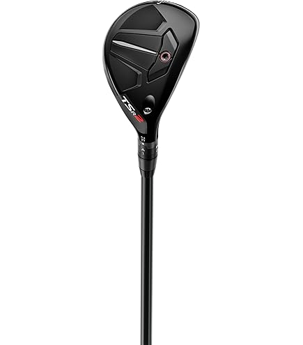 Amazon | TITLEIST(タイトリスト) ユーティリティ 816H1 NS950 S 21