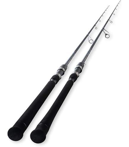 Amazon | アピア Foojin'RS VIVOGUE(ヴィヴォーグ) 96ML+ | アピア