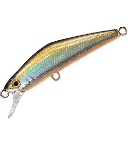 Amazon | スミス(SMITH LTD) トラウティンスピン マルチュース TRMK