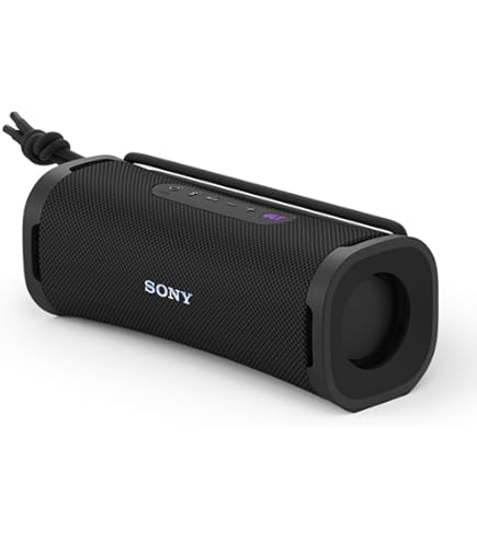 Amazon.co.jp: Sony Dock Speaker for Walkman / AC100-240V 50/60Hz