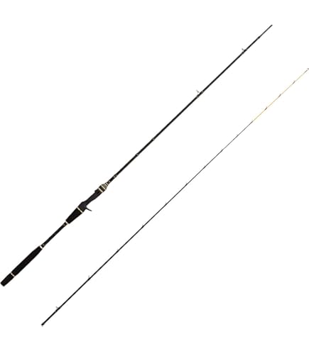 Amazon | シマノ(SHIMANO) 船竿 テンヤ 炎月リミテッド一つ