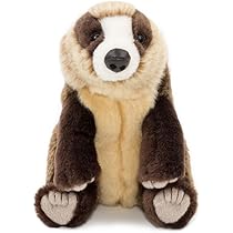 51yS-w5MAgL._AC_UL210_SR210,