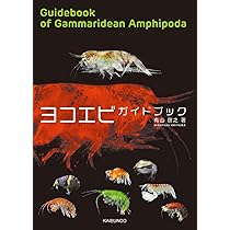 ヨコエビ ガイドブック | 有山啓之 |本 | 通販 | Amazon