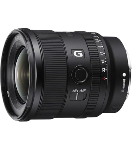 Amazon.co.jp: SONY(ソニー) 広角単焦点レンズ フルサイズ FE 24mm F1