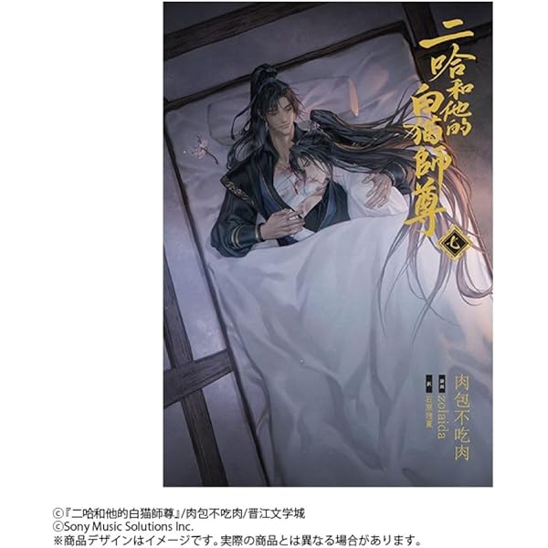 Amazon.co.jp: 小説「二哈和他的白猫師尊」第8巻（ハスキーとかれの