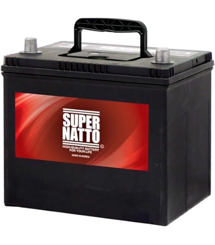 Amazon.co.jp: G&Yu [ ジーアンドユー ] 国産車バッテリー [ ecoba