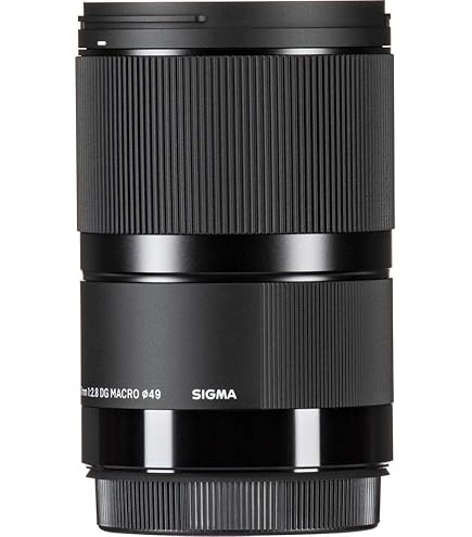 Amazon.co.jp: シグマ(Sigma) SIGMA 単焦点マクロレンズ MACRO 50mm F2