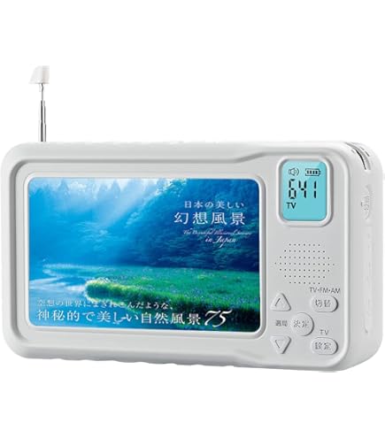 Amazon | ソニー 4V型 液晶 テレビ XDV-W600-PC ハイビジョン