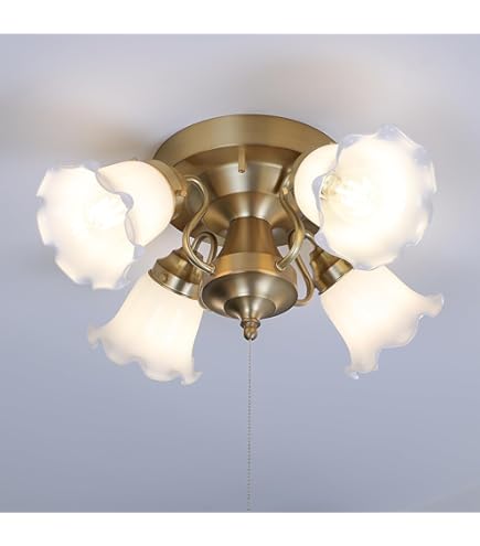 Amazon | Kishima キシマ ブーケ シーリングライト 5灯 GEM-6895 GEM