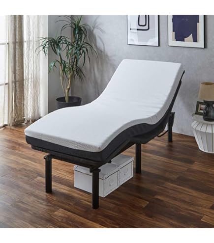 Amazon.co.jp: パラマウントベッド プレグラーマットレス KE-551Q 91cm