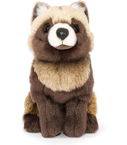 Amazon.co.jp: タヌキとキツネ すやすやフレンドおうちでリラックス