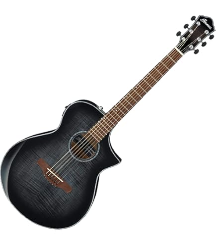 Amazon | Ibanez アイバニーズ Talman TCY10 エレアコ Black