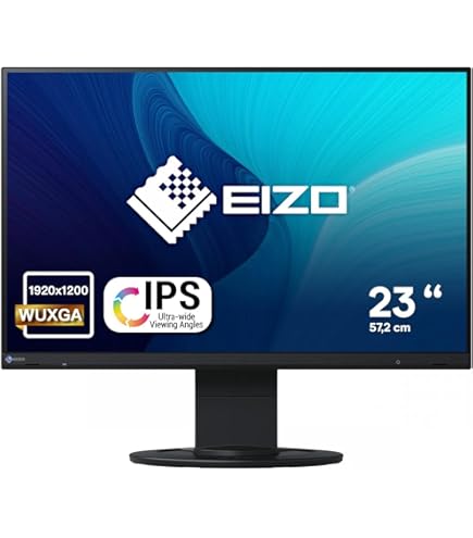 Amazon.co.jp: 【整備済み品】EIZO RadiForce RX440 29.8インチワイド