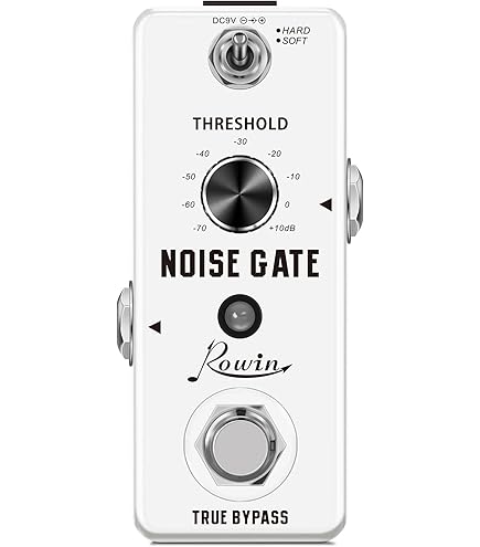 Amazon | Rocktron ロックトロン ノイズ・リダクション Hush The Pedal