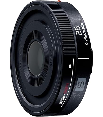 Amazon.co.jp: ELMARIT-TL 18mm F2.8 ASPH. シルバー 11089 : 家電＆カメラ