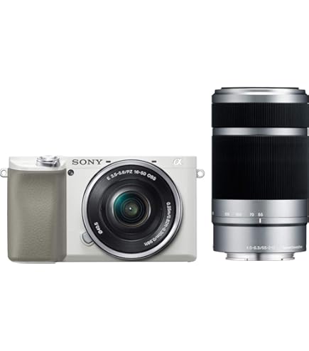 Amazon | SONY ミラーレス一眼カメラ α NEX-6ダブルズームレンズキット