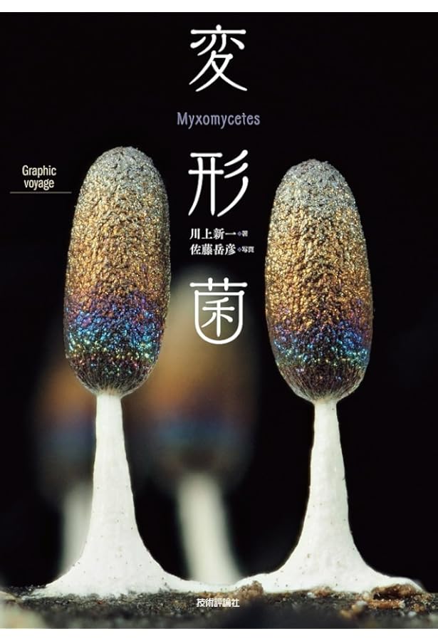 粘菌: 驚くべき生命力の謎 | 松本 淳, 伊沢 正名 |本 | 通販 | Amazon