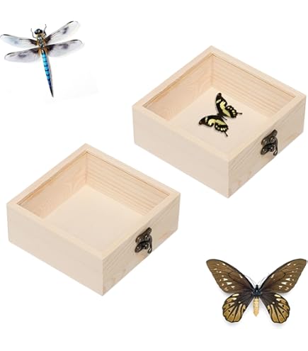 Amazon | 標本箱透明昆虫蝶標本箱 昆虫標本展示ボックス 蝶園作り