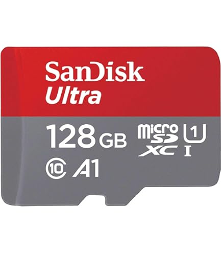 Amazon | Lakko SanDisk 256GB Nintendo Switch MicroSD Card/Memory