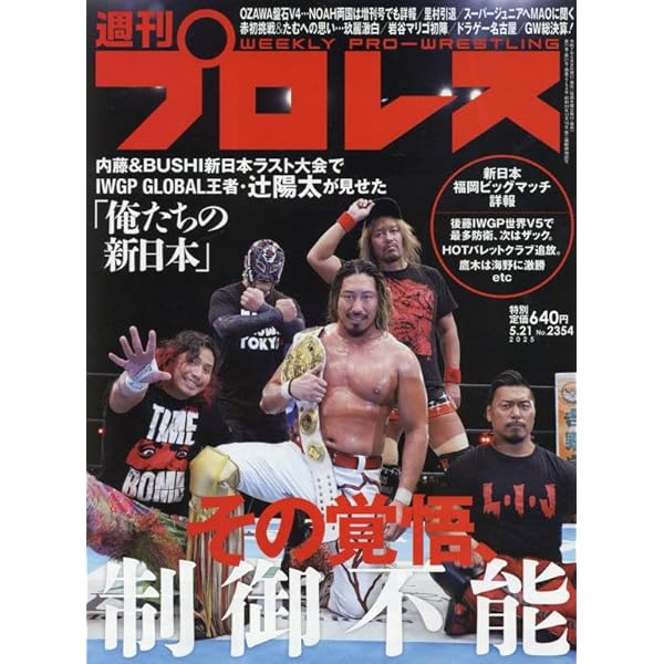 Amazon.co.jp: 内藤哲也デビュー10周年記念DVD NAITO 10 ANIVERSARIO