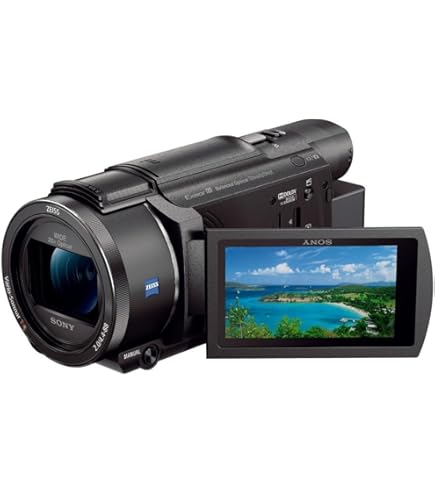 Amazon.co.jp: パナソニック 4K ビデオカメラ WXF1M 64GB ワイプ撮り