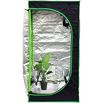 61tDcBIVk2L._AC_UL210_SR210,